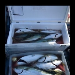 釣り仲間を募集