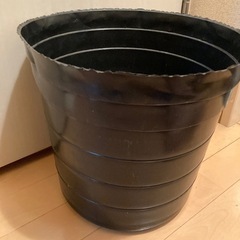 黒ポリポット