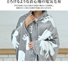 着る電気毛布の画像