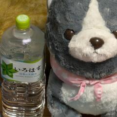 ぬいぐるみ各種類ごと!詳細は説明欄にて!購入は1つでもいくつでも大丈夫です!気軽に問い合わせしてくださいの画像