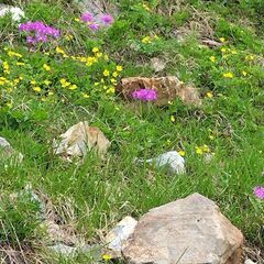 白馬💐から不帰を経て唐松岳縦走🧗をご一緒して下さい💐😀