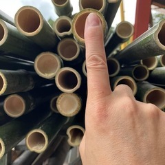 青竹の支柱　畑やお花作り、鹿柵などにどうぞ　　　の画像