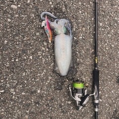 一生幸せになりたいなら釣りを覚えなさいin青森 − 青森県