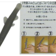 どじょう　1匹