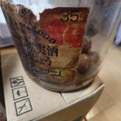 10年物の梅酒の梅（古酒）の画像