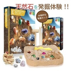 発掘 おもちゃ 宝石 水晶 掘る 知育玩具 親子で楽しい 見つけ...
