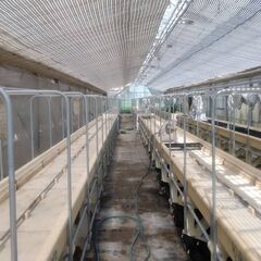 水耕栽培用プランター　六連