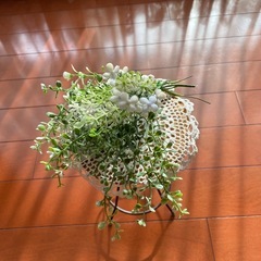 花台の画像