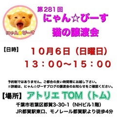 10月6日(日)🌸にゃん☆ぴーす猫の譲渡会🌸「アトリエTOM」J...