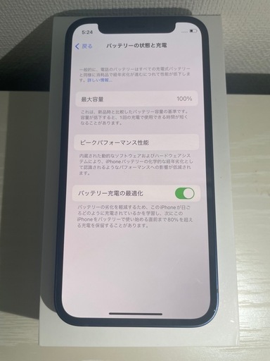 100% iPhone 12mini128gb青 デュアルカメラ 箱付き オンライン支払い対応