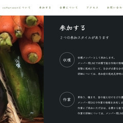 一緒に野菜の収穫を楽しみませんか？ - つくばみらい市