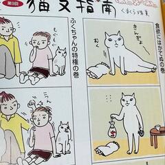 平成12年当時猫の手帳セットの画像