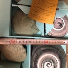 皿、鉢
の画像