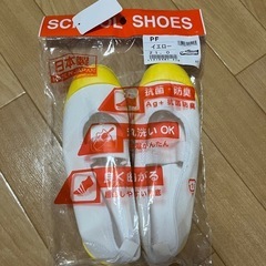 小学校 上靴 体育館シューズ