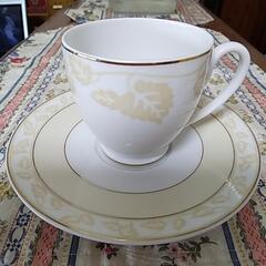 GUY DEGRENNE *NEW* Meriseraie　カッ...