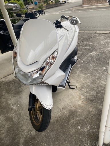 【週末限定】PCX125 JF28　スペシャルエディション