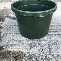 丸型タライ