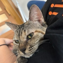 ウニちゃん12歳