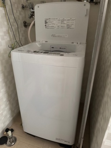 家電 生活家電 洗濯機