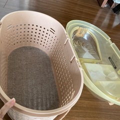 猫キャリー
の画像