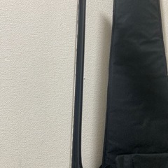 5弦STEINBERGER XT-25 スタインバーガー 純正ソフトケース付きの画像