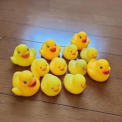 おもちゃのヒヨコちゃんの画像