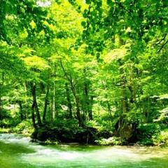 言葉のチカラ☘️あなたを変えるもの