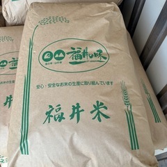 新米　コシヒカリ　30kg