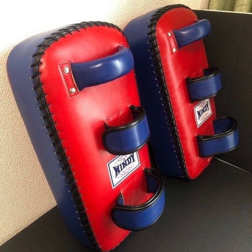 美品 WINDY キックミット Lサイズ 2個セット ウィンディ