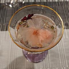 JR蒲田駅近辺で気軽に飲める禁煙の同性♀の方！