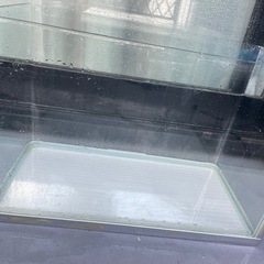 60センチ水槽の画像