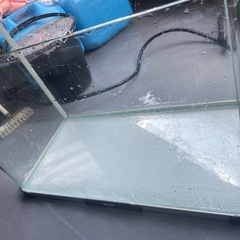60センチ水槽の画像