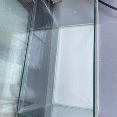 60センチ水槽の画像