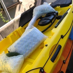 カヌー2艇とトレーラーの画像