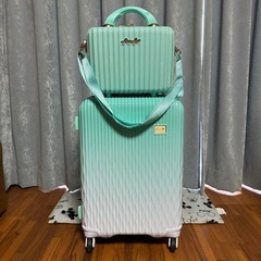 最終価格】ハードジッパー スーツケース キャリーケース