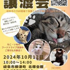 保護猫譲渡会in柳津町