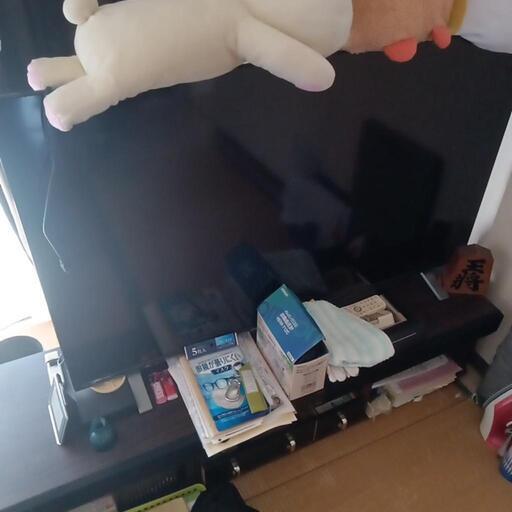 テレビ