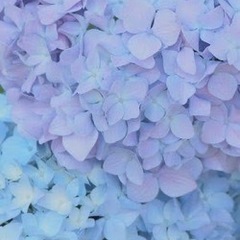 使わなくなった化粧品を譲ってください