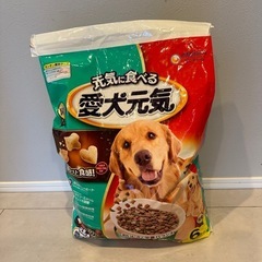 ドッグフード🐕（未開封）の画像