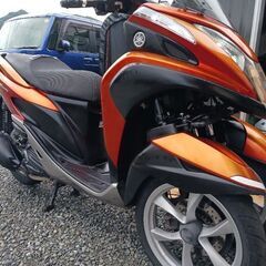 17万～値下げトリシティ125.好調.始動動画有ります、格安