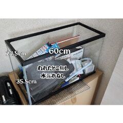 ガラス水槽各販売の画像