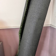 人工芝の画像