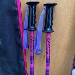 ジュニアカービングスキーサイズ120の画像