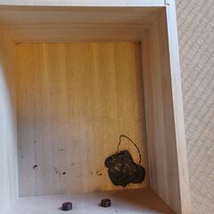 お引取り限定　鎌倉彫道具入れ　購入時１１万の画像