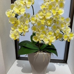 胡蝶蘭造花