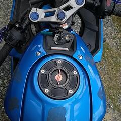 GSXR125 カスタム車　サーキット仕様　消耗品交換済　整備済の画像