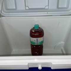 交渉中★キャプテンスタッグ　クーラーボックスの画像