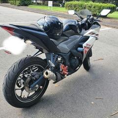 YAMAHA YZF-R25の画像