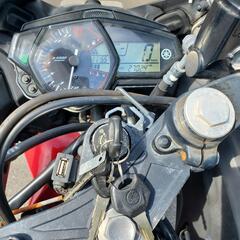 YAMAHA YZF-R25の画像