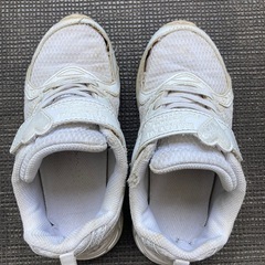 19cm 瞬足　しゅんそく　ハートの画像